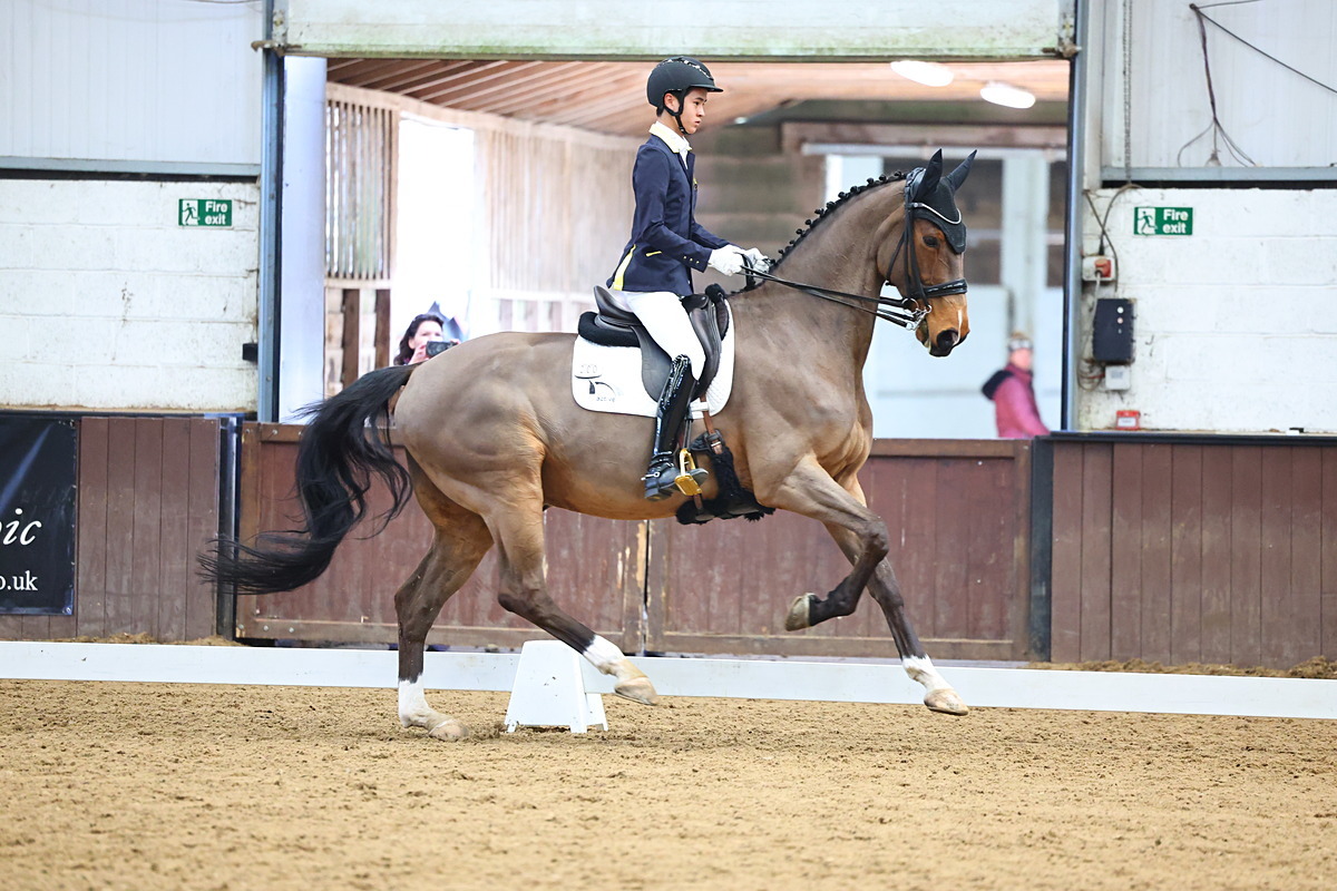Timothy Ngai riding an extended trot in an indoor arena
